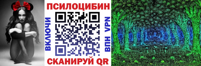 KRAKEN ТОР  Серов  Псилоцибиновые грибы ЛСД 